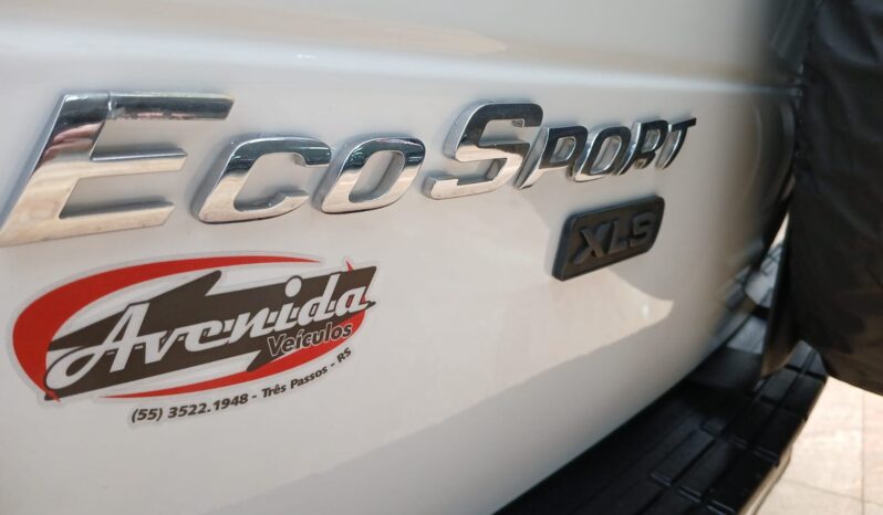 Ford Ecosport XLS 1.6 2007 completo